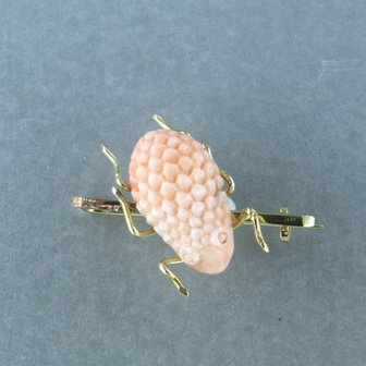 14k yellow gold brooch set with coral