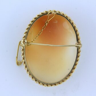 BWG camee broche
