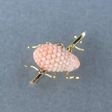 14k yellow gold brooch set with coral