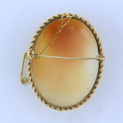 BWG camee broche