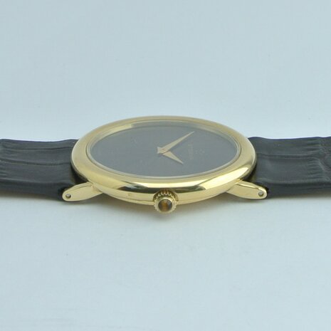 Eterna Ellipse | 18k yellow gold case