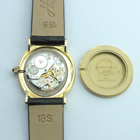 Eterna Ellipse | 18k yellow gold case