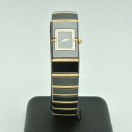 Rado-Diastar-ref-R463040930
